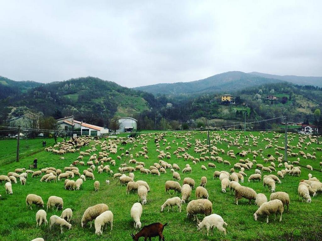B&B Cascina Santa Gavi Zewnętrze zdjęcie