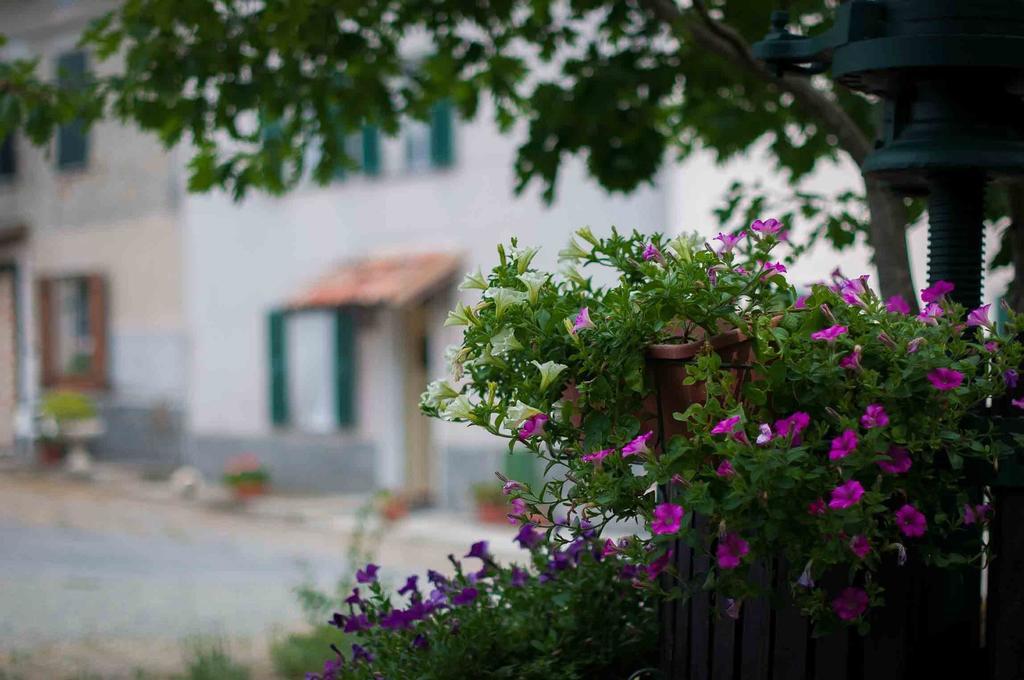 B&B Cascina Santa Gavi Zewnętrze zdjęcie