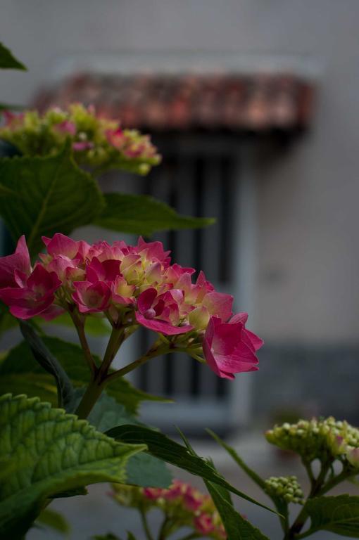 B&B Cascina Santa Gavi Zewnętrze zdjęcie