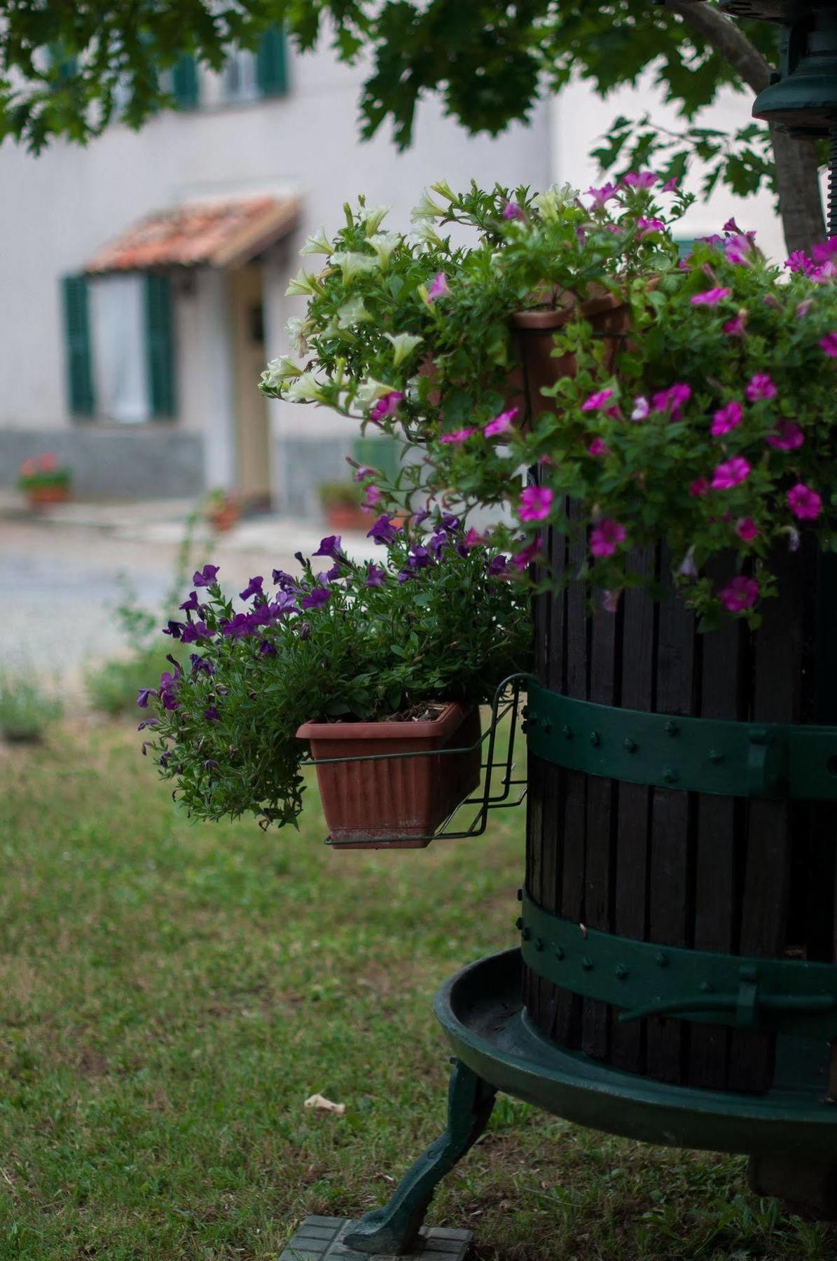 B&B Cascina Santa Gavi Zewnętrze zdjęcie